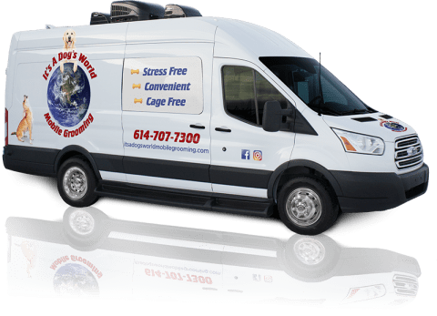 It's a Dog's World | Mobile Pet Grooming